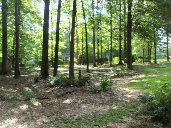 4th image of 4511 Pine Lake Dr