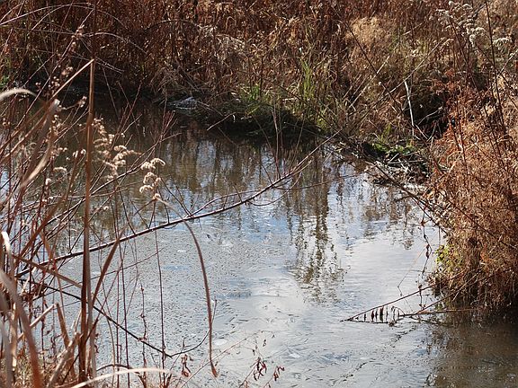 4th image of County Road 35