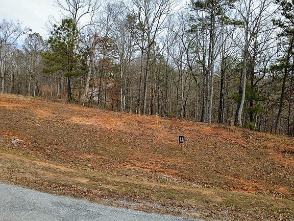 4th image of 43 Bucktail Way
