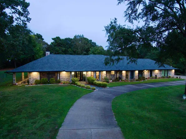 4685 Fm 2254, Pittsburg, TX 75686