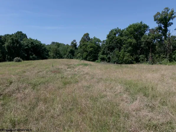 Bosser Rd, Grafton, WV 26354