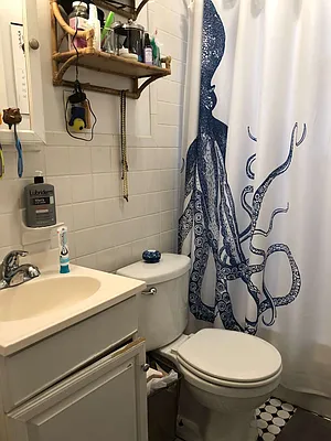 Rented by CNYC Apartments | media 34