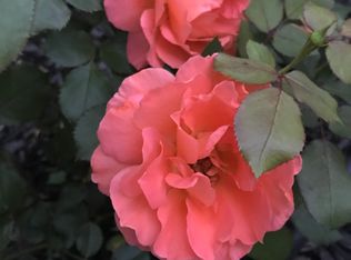 2508 Erk Ct, Grovetown, GA 30813