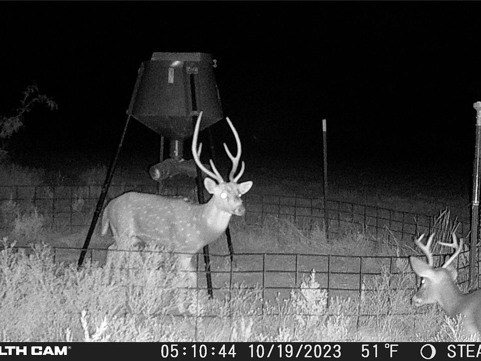 1st image of 10500 County Road 131