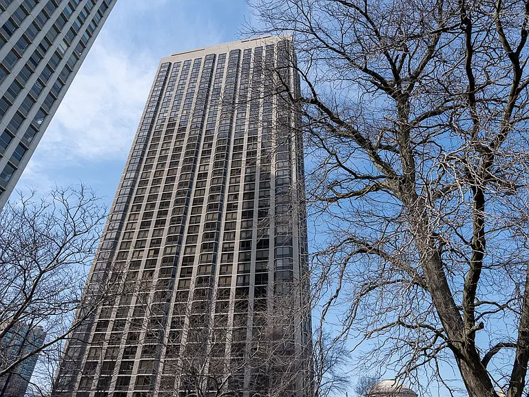 2650 N Lakeview Ave #1003 — Photo 17