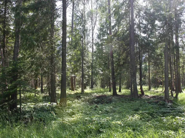 Nna River Lake Dr, Clark Fork, ID 83811