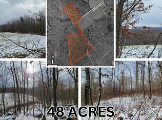 9 & 10 Bloomville Hill Rd, Delhi, NY 13753