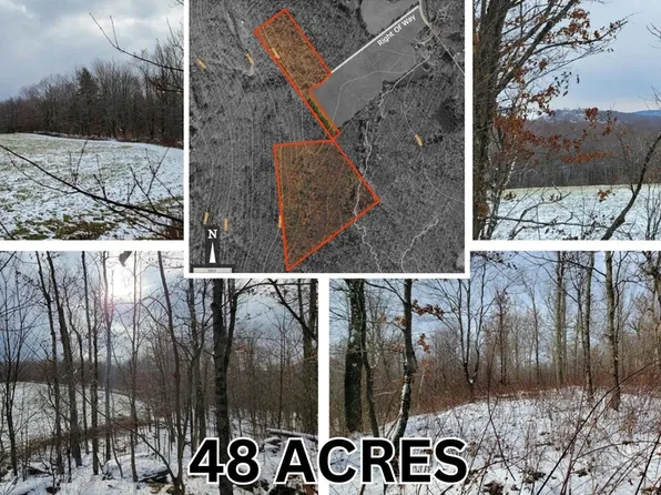 9 & 10 Bloomville Hill Rd, Delhi, NY 13753