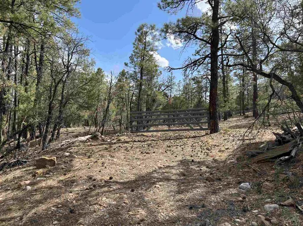 Shroyer Dr, Los Ojos, NM 87551