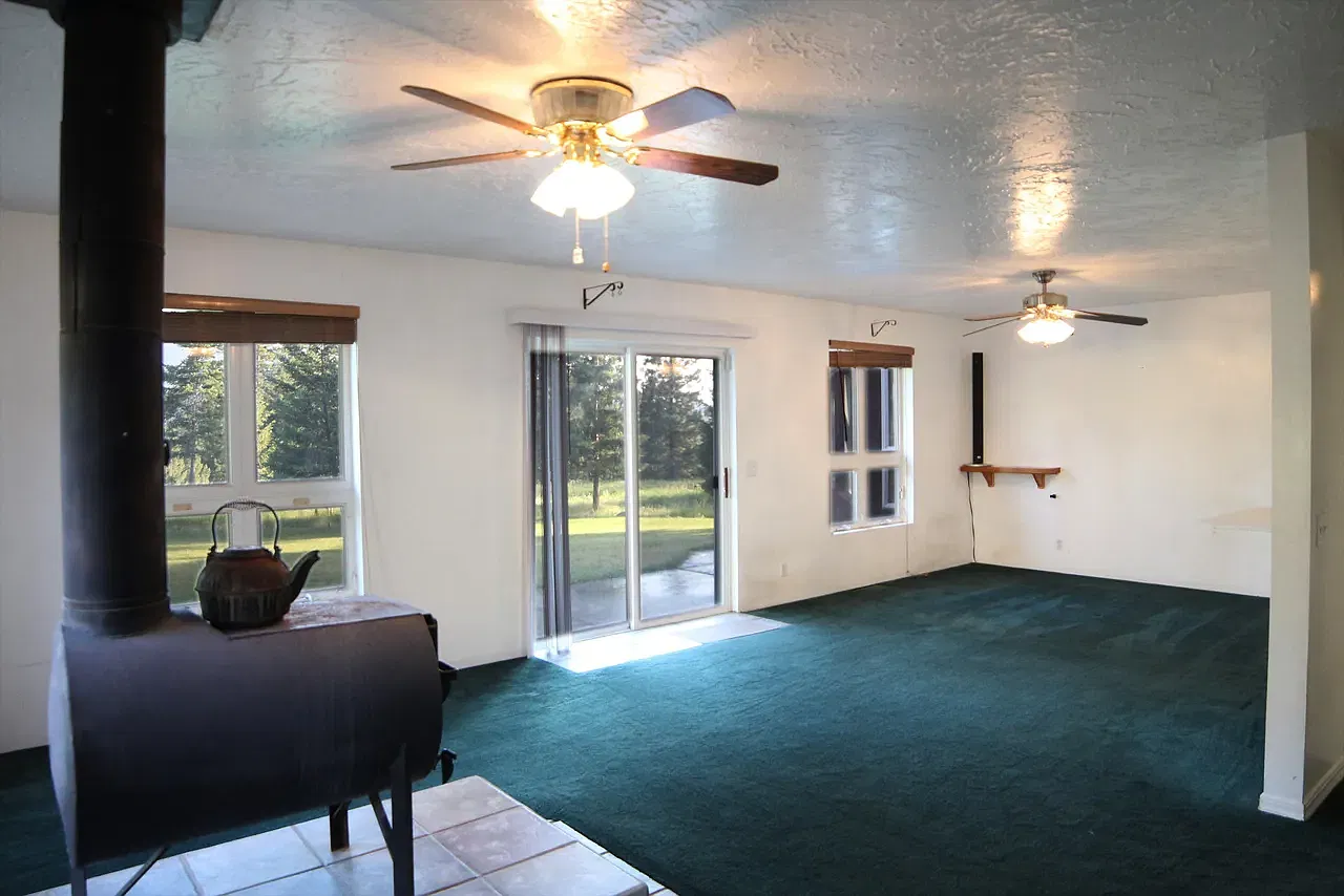 163 Old Relic Rd — Photo 3
