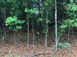 Tbd Kenwood Rd, Manning, SC 29102