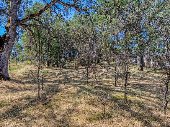 5th image of 16793 Big Bear Rd Lot 219