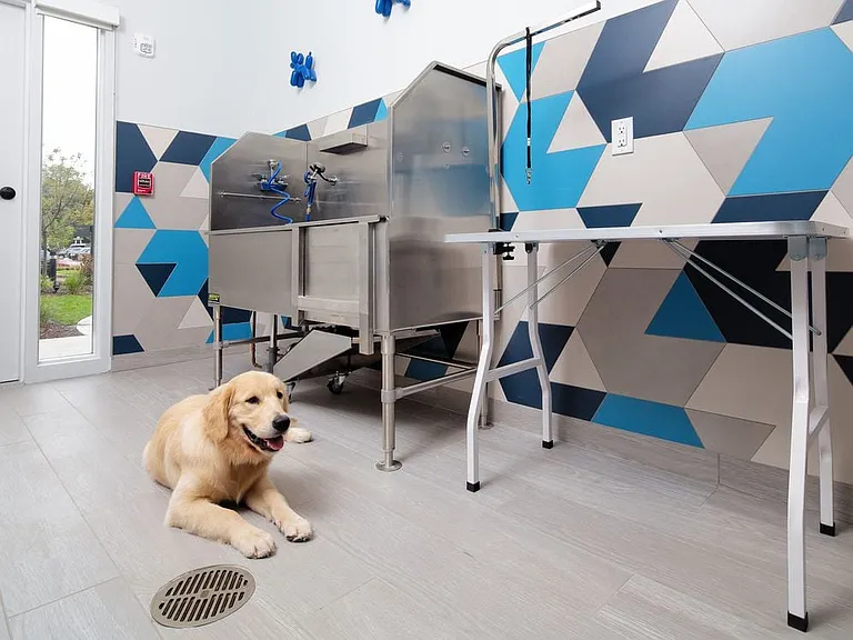 WAG Pet Spa