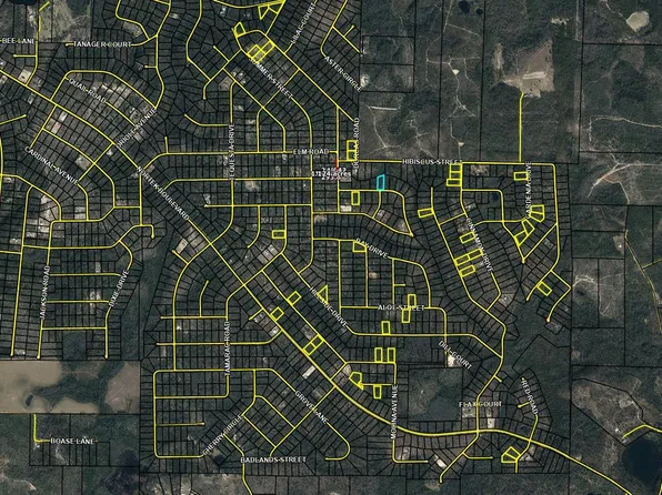 LOT 8 Cane St, Marianna, FL 32448