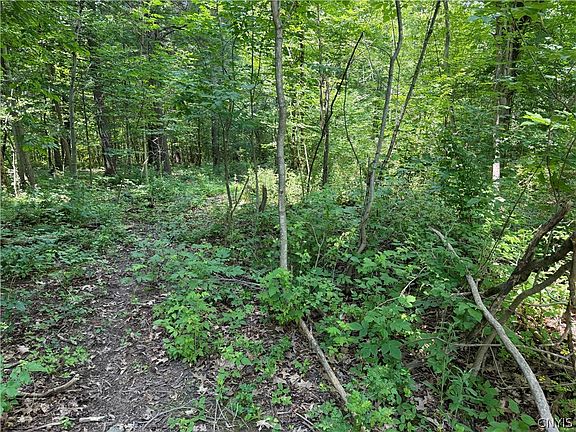 5th image of County Road 17