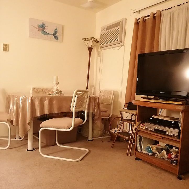 LR + DINING SPACE 