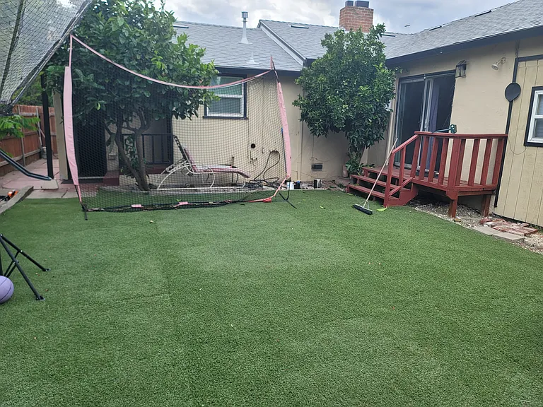 backyard with artificial turf and fruit trees