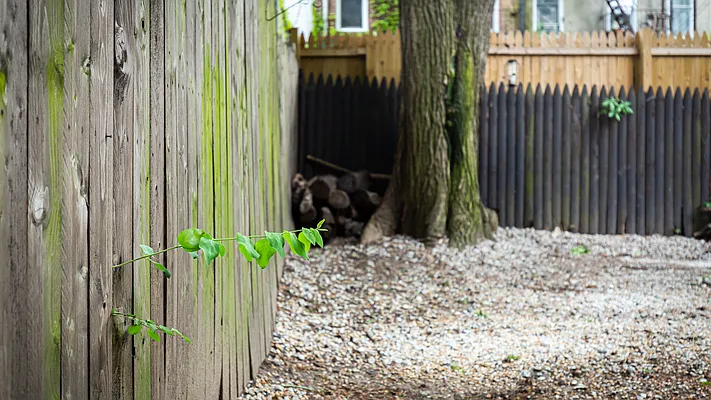 Rented by Nooklyn NYC LLC | media 40