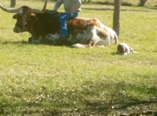 7406 Nez Perce Trce, Manor, TX 78653