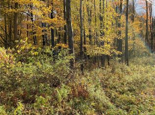 Lake Shore Rd, Angola, NY 14006