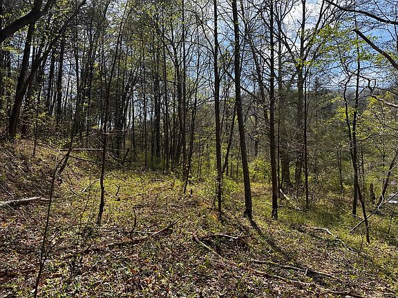 5th image of 0 Long Branch Rd #0