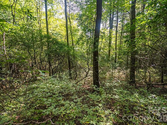 3rd image of Tbd Blue Ridge Rd