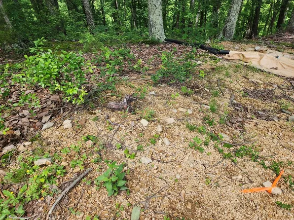 Id 13 Country Club Dr, Holladay, TN 38341