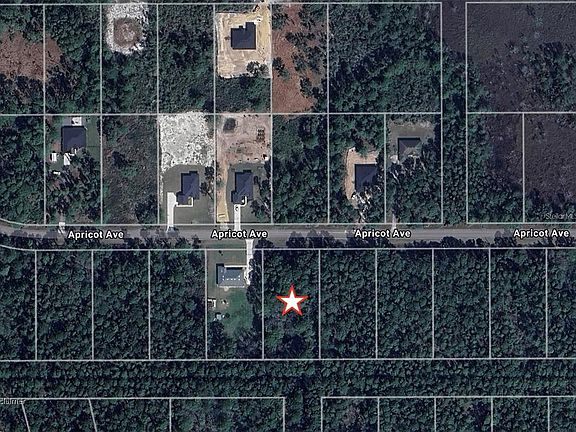 2nd image of Apricot Ave #14