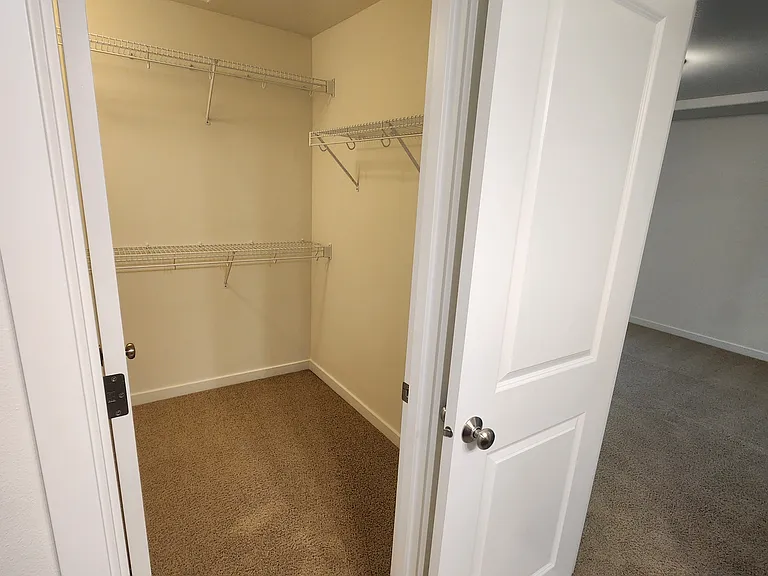 Walk In Closet (Master)