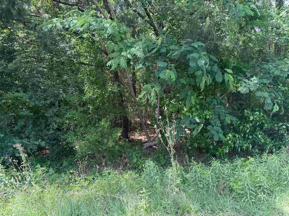 TBD Holly Berry Ct., Andrews, SC 29510