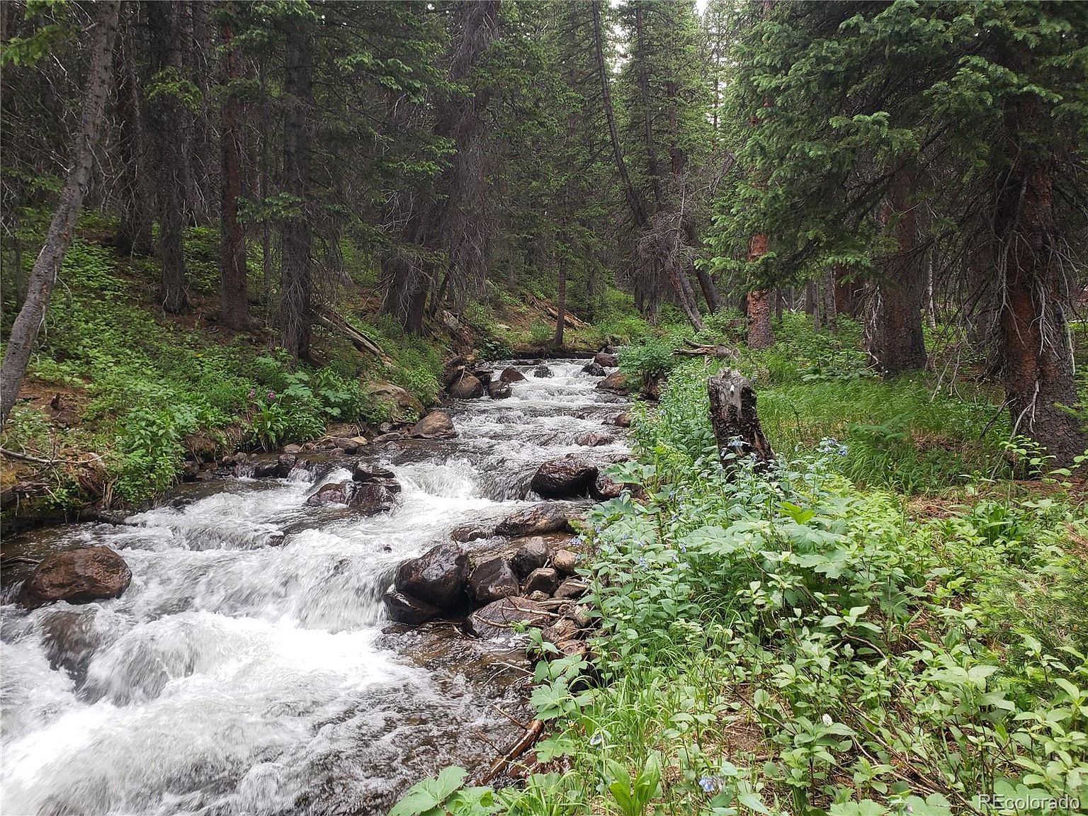 Rainbow Rd, Idaho Springs, CO 80452 MLS 8356584 Zillow