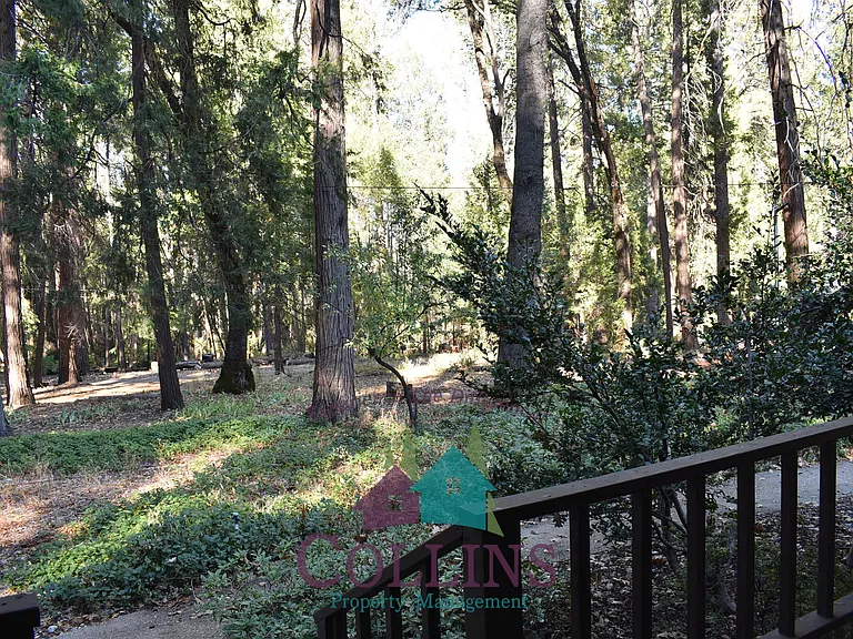 11071 Cedar Ridge Dr — Photo 16