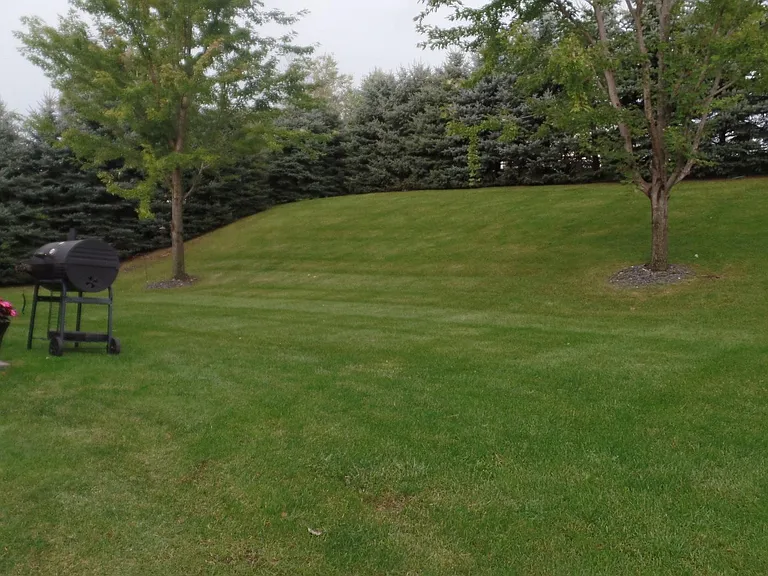 2224 Patrick Ln — Photo 2