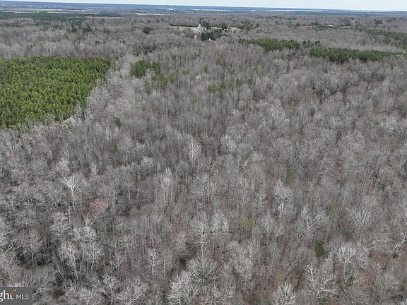 3rd image of 0 Oneal Rd