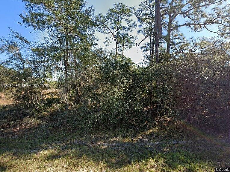 1st image of 1334 Saint Augustine Ct