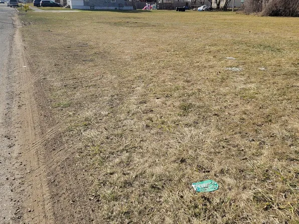 42411 Walnut St N, Clinton Township, MI 48036