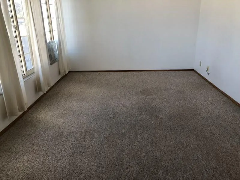 1591 Laurel St — Photo 3
