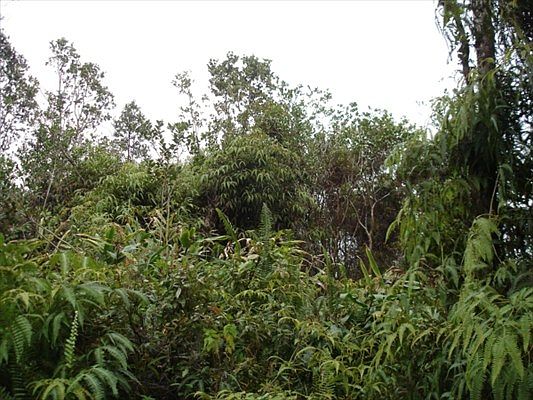 1st image of Road 3 Hopue Lot 3277