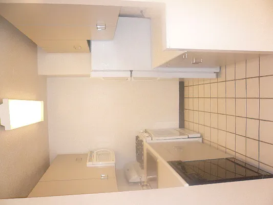 Rented by Shany Landmarks LLC | media 16