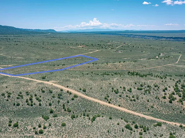 Spirit Dog, Ranchos De Taos, NM 87557