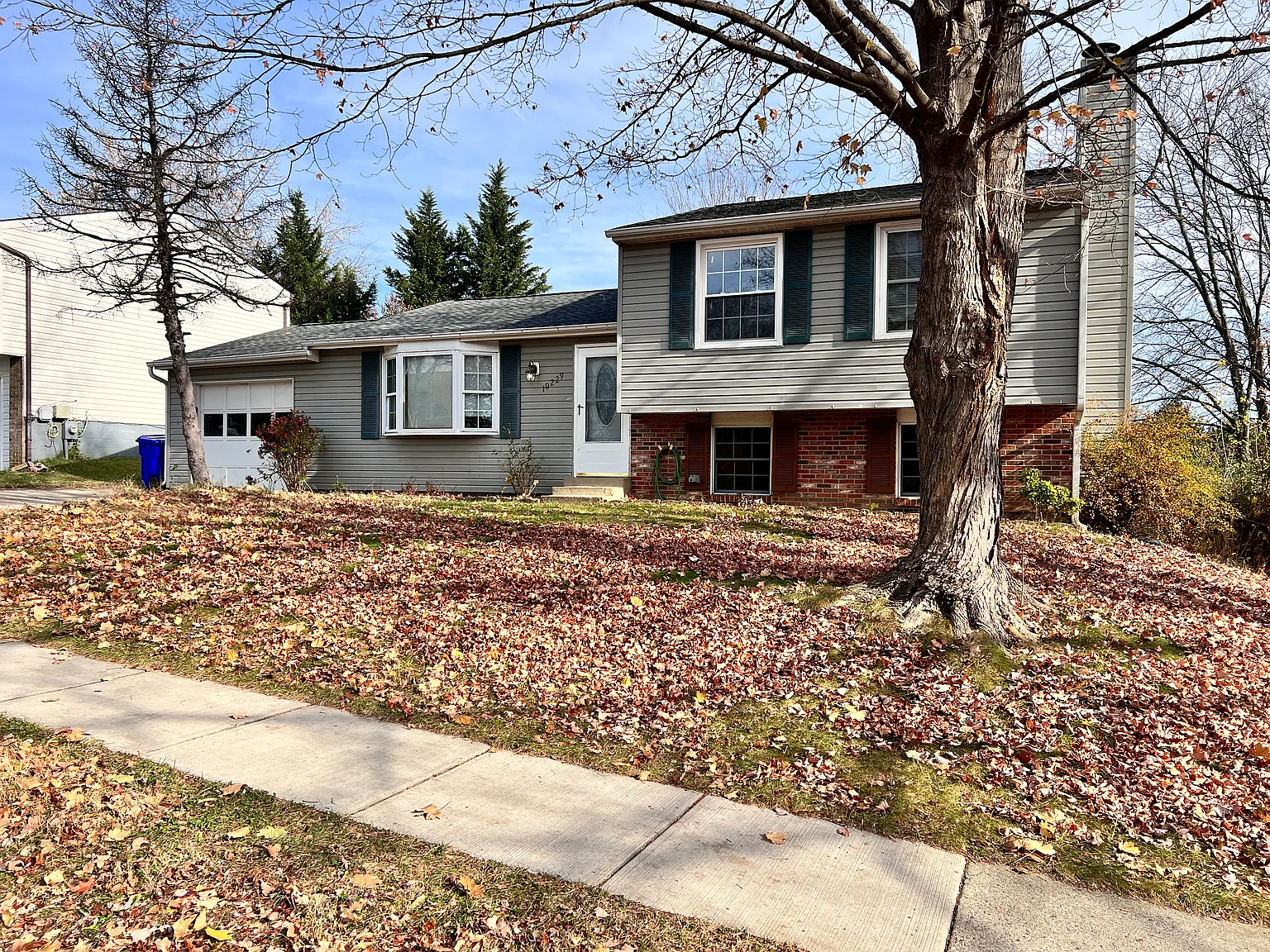 3 bed, 1040 sqft, $2,900 — Photo 3