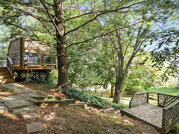 Great Backyard