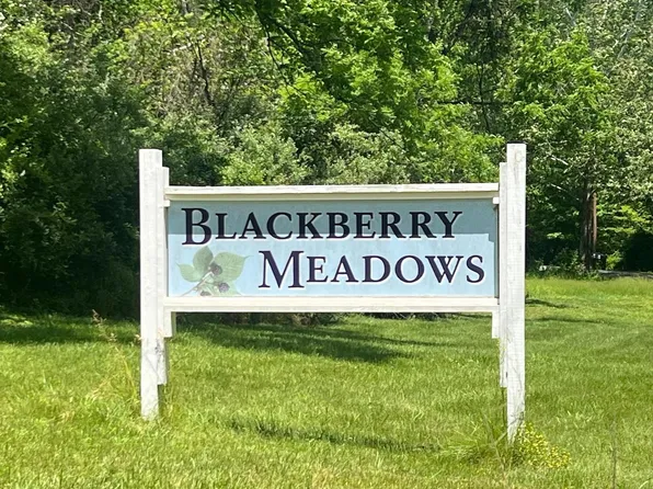 Waterberry Dr, Paw Paw, WV 25434