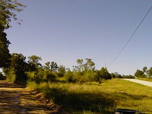 2nd image of Lake Haven Dr