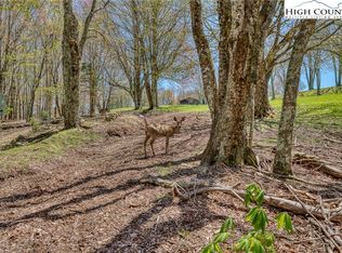 201 Grassy Gap Loop Road, Beech Mountain, NC 28604
