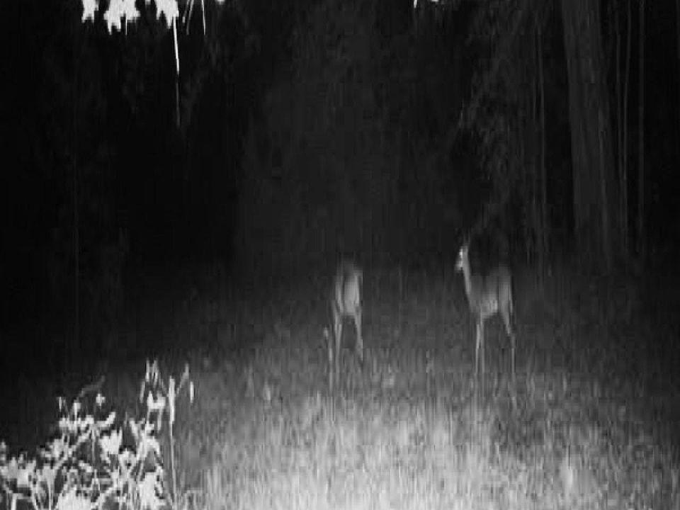 10481 Ashville Hwy, Greenville, FL 32331 MLS 364686 Zillow