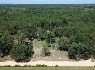 1046 Homer Bunch Rd, Statesboro, GA 30461