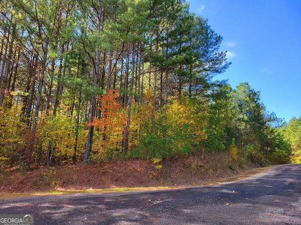 7 Ridge Top Dr, Ellijay, GA 30536
