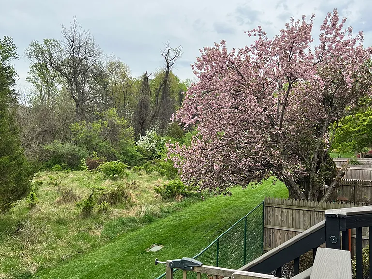 516 Meadow Hall Dr #516 — Photo 53