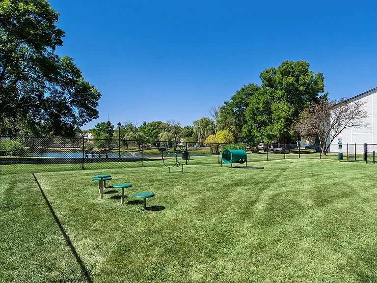 Renew Madison — Photo 13